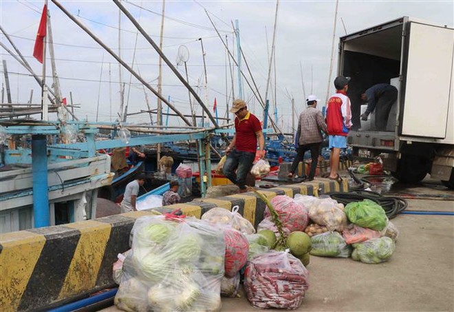 Ngư dân Phú Yên hối hả vươn khơi chuyến đi biển đầu năm mới ảnh 1