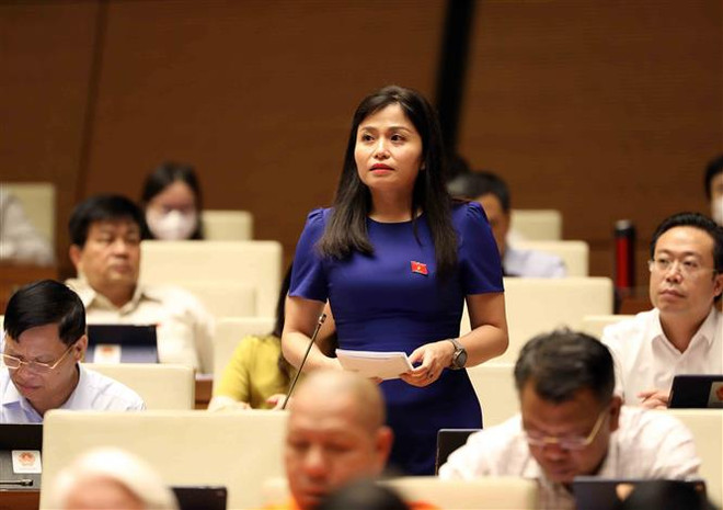 Đại biểu QH: Cần xây dựng hệ thống cảnh báo ngập lụt ở các đô thị ảnh 1