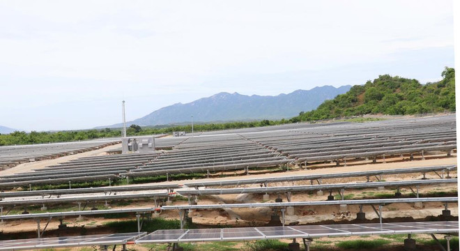 Sớm đưa Ninh Thuận thành trung tâm năng lượng tái tạo của cả nước ảnh 1
