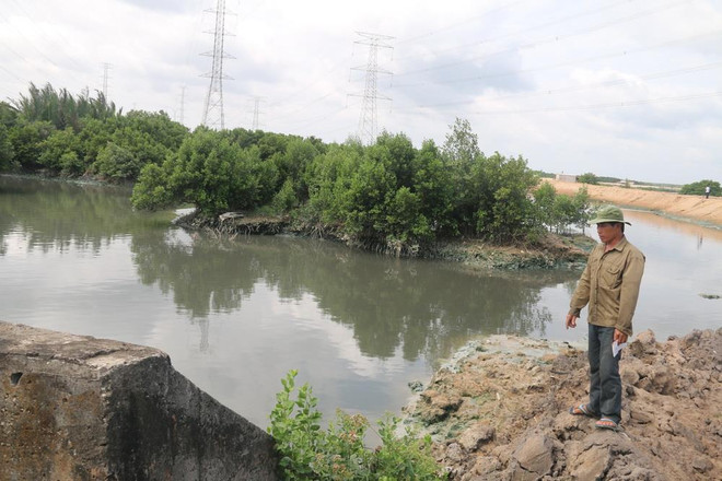 Người nuôi trồng thủy sản khốn đốn vì doanh nghiệp xả thải gây ô nhiễm ảnh 1