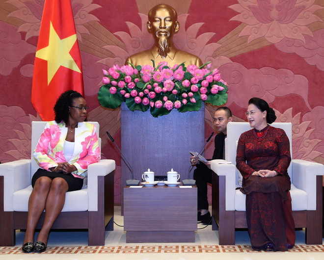 Chủ tịch Quốc hội tiếp Đại sứ Cuba và Tổng Chưởng lý Mozambique ảnh 2