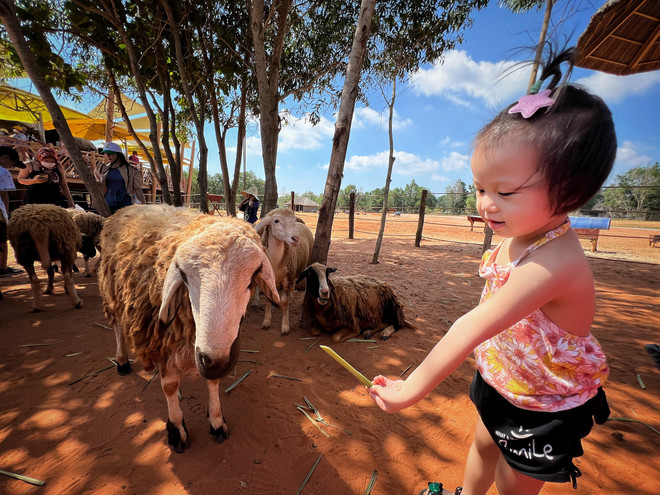 Du khách nhí theo gia đình trải nghiệm du lịch ở Bình Thuận. (Ảnh: Mai Mai/Vietnam+) vnp_phan thiét (3).jpg