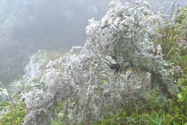 Tour khám phá núi rừng mờ sương hút khách dịp Tết Dương lịch ảnh 1