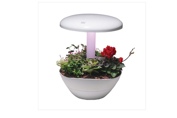 Doanh nghiệp quang học Hàn Quốc muốn mở rộng thị trường xuất khẩu ảnh 3