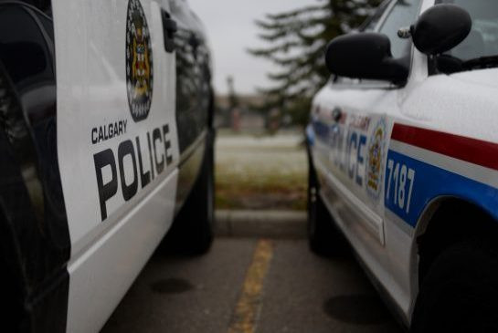 Xả súng tại nghĩa trang Hồi giáo ở Canada, 4 người bị thương ảnh 1