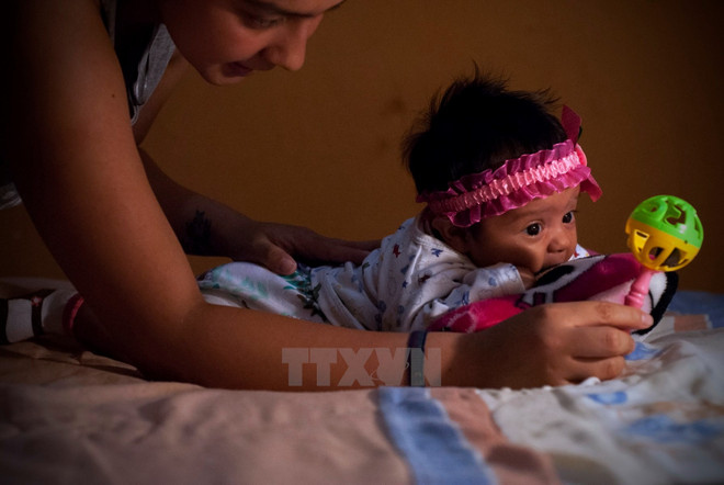 Mỹ "bật đèn xanh" dùng muỗi biến đổi gen chống lại virus Zika ảnh 1