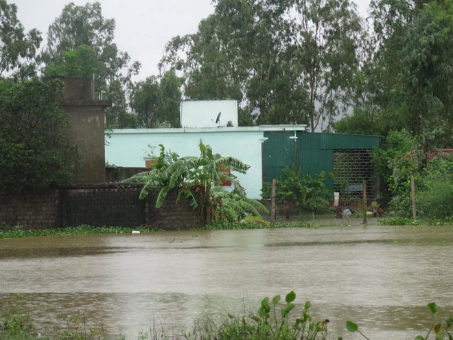 Nghệ An: Vẫn chưa liên lạc được với 35 người đi hái măng rừng ảnh 1