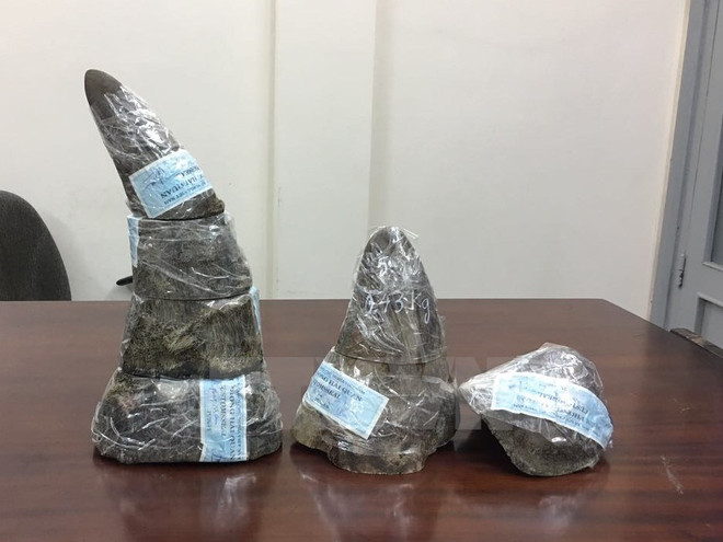 16 tổ chức kêu gọi xét xử nghiêm minh "trùm" buôn lậu sừng tê giác ảnh 1