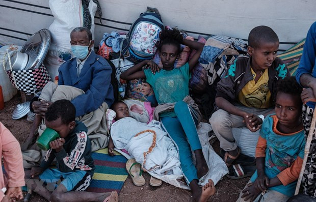 An ninh lương thực-Khủng hoảng nối dài: Cú knock-out địa chính trị ảnh 3