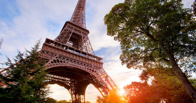 Pháp: Hàng chục nghìn người phản đối kế hoạch chặt cây gần tháp Eiffel ảnh 1