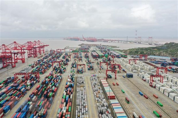 Nhiều công ty châu Âu cân nhắc dịch chuyển đầu tư khỏi Trung Quốc ảnh 1