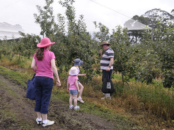 Australia đẩy mạnh mô hình du lịch hái lượm để "câu khách" ảnh 5