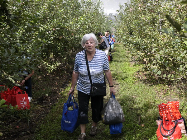 Australia đẩy mạnh mô hình du lịch hái lượm để "câu khách" ảnh 1