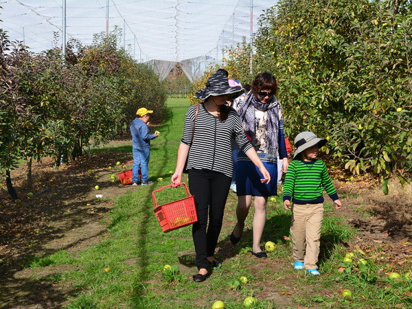 Australia đẩy mạnh mô hình du lịch hái lượm để "câu khách" ảnh 2