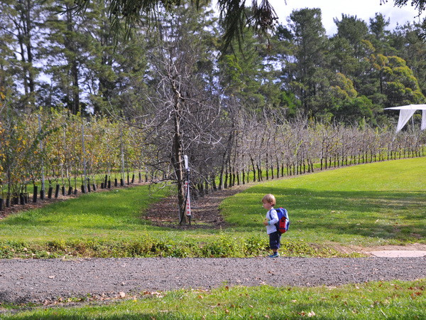 Australia đẩy mạnh mô hình du lịch hái lượm để "câu khách" ảnh 4