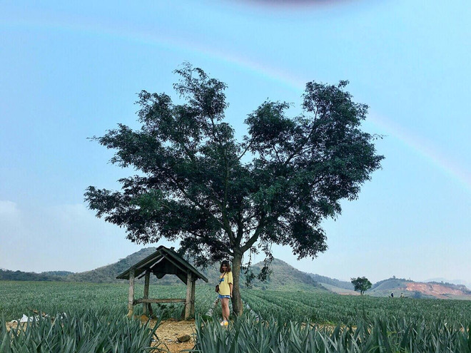 Những 'thánh địa check-in' dịp nghỉ lễ 30/4 không nên bỏ lỡ ảnh 6