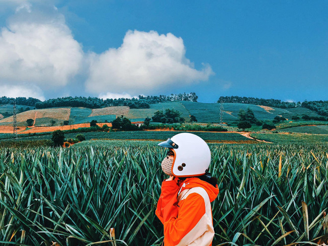 Những 'thánh địa check-in' dịp nghỉ lễ 30/4 không nên bỏ lỡ ảnh 5