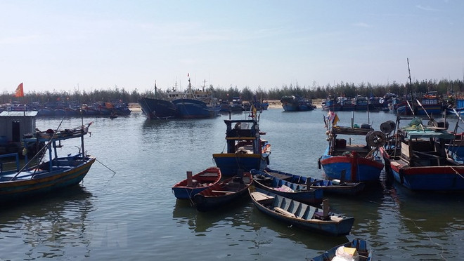 Quảng Ngãi: Nạo vét, chống bồi lấp luồng tàu ra vào cảng Sa Huỳnh ảnh 1