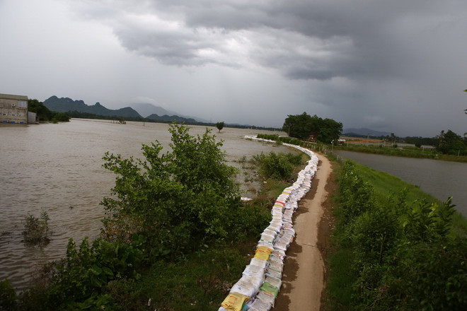Nước sông Bùi đã rút nhưng vẫn ở mức cao, không có tuyến đê nào bị vỡ ảnh 1