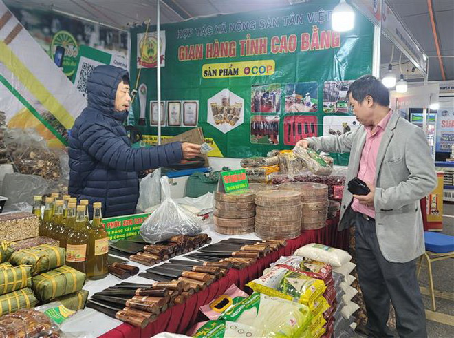 Hà Nội: Khai mạc Hội chợ hàng Việt Nam được người tiêu dùng yêu thích ảnh 1