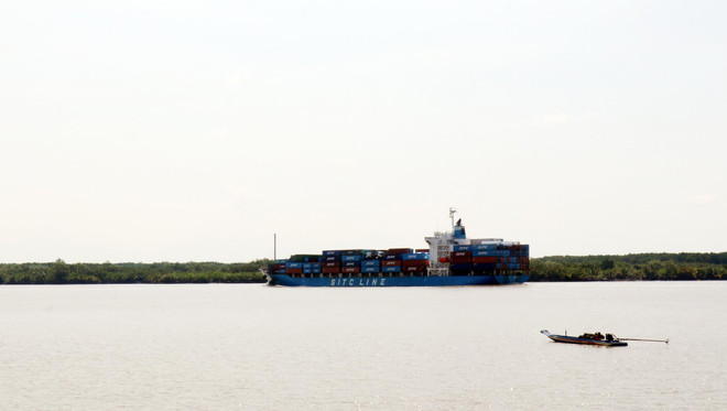 Vang danh Rừng Sác: Hồi sinh cánh rừng hoang tàn do bom đạn ảnh 2