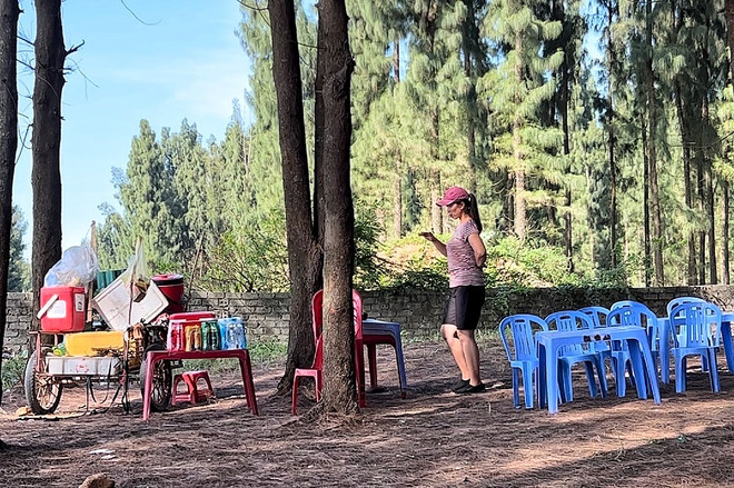 Thân phận những “cá siêu nhỏ” trong chuỗi cung ứng dịch vụ du lịch ảnh 4