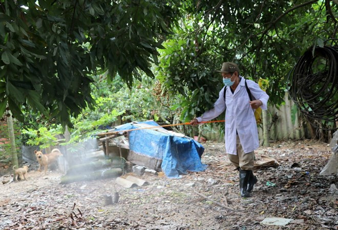 Phú Yên hết cúm gia cầm H5N6, hoạt động giết mổ trở lại bình thường ảnh 1