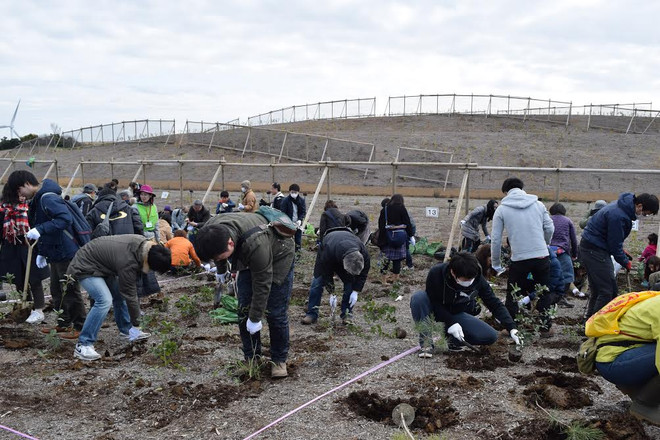 Nhật Bản thúc đẩy dự án trồng rừng ngăn chặn biển xâm thực ảnh 3