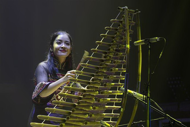 Cuộc thi độc tấu và hòa tấu nhạc cụ dân tộc thu hút gần 1.500 nghệ sỹ ảnh 1