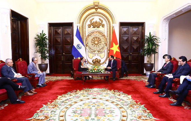 Trao đổi biện pháp tăng cường hợp tác giữa Việt Nam và El Salvador ảnh 1