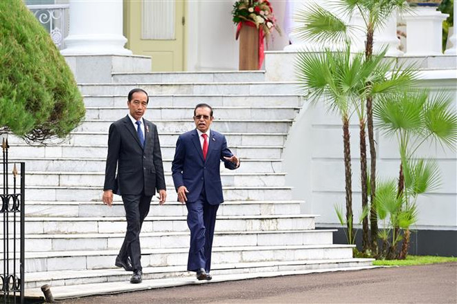 Tổng thống Indonesia Joko Widodo (trái) và Thủ tướng Timor Leste Taur Matan Ruak tại cuộc gặp ở Bogor ngày 13/2. (Ảnh: AFP/TTXVN) Indonesia chuẩn bị lộ trình đưa Timor Leste gia nhập ASEAN ảnh 1