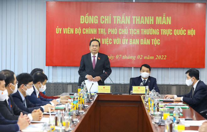 Phát huy tiềm năng, lợi thế của vùng dân tộc thiểu số và miền núi ảnh 1