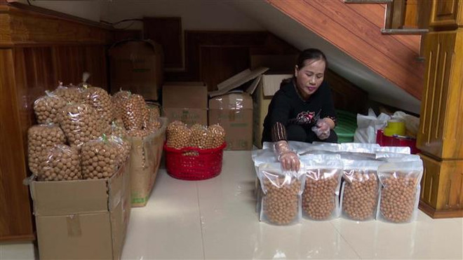 Làng nghề bánh nhãn gia tăng sản xuất để cung ứng trong dịp Tết ảnh 1