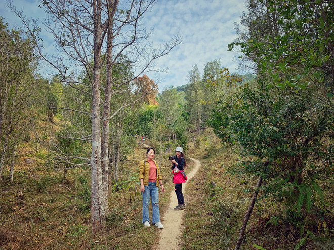 Khách tour buộc phải ‘tip’: Quy định chưa có tiền lệ của du lịch Việt ảnh 4