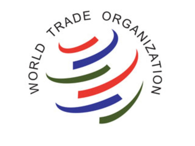 WTO kêu gọi các thành viên chống lại biện pháp bảo hộ thương mại ảnh 1