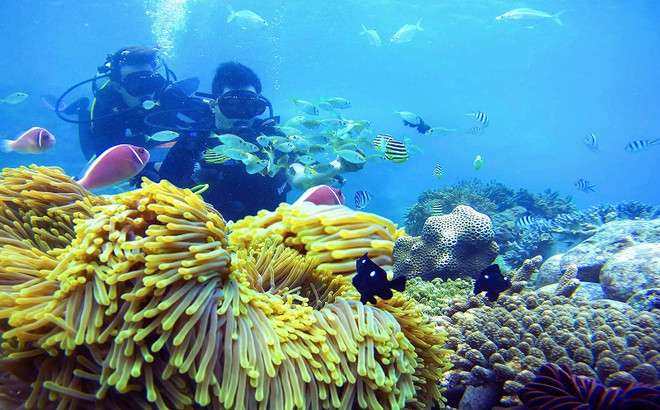 Top các điểm đến đang được khách du lịch nội địa ưa thích ảnh 3