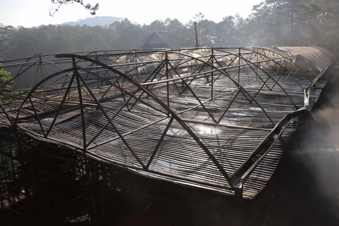 Cháy lớn lúc rạng sáng thiêu rụi khu sản xuất sâm Ngọc Linh ở Đà Lạt ảnh 1