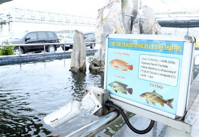 Formosa Hà Tĩnh đã khắc phục hầu hết các tồn tại về môi trường ảnh 1