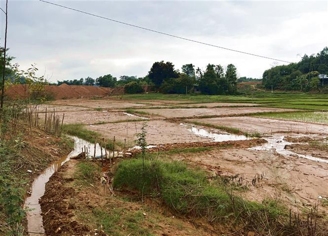 Yên Bái: Người dân bức xúc vì bùn đất từ công trình tràn vào ruộng ảnh 1