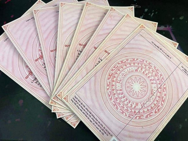 Cần Thơ: Tạm giam 11 đối tượng làm giả sổ đỏ, chiếm hơn 100 tỷ đồng ảnh 1