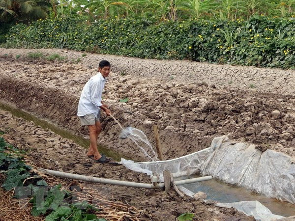 Phòng chống hạn hán, xâm nhập mặn trong mùa khô 2018-2019 ảnh 1