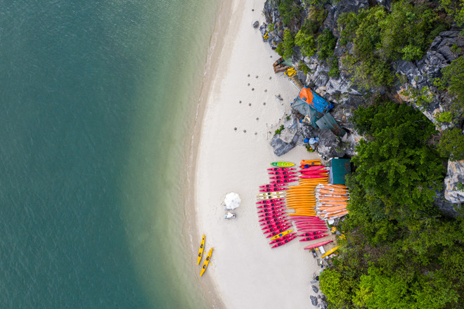 COVID-19 tái bùng phát: Doanh nghiệp du lịch làm gì để không gục ngã? ảnh 4