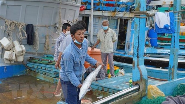 Sẽ xử lý nghiêm trường hợp cố tình vi phạm khai thác IUU ảnh 2