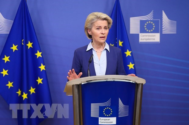 EU nhận định khả năng rút khỏi Hiệp ước Hiến chương Năng lượng ảnh 1