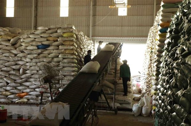 Campuchia đặt mục tiêu xuất khẩu 1 triệu tấn gạo vào năm 2025 ảnh 1