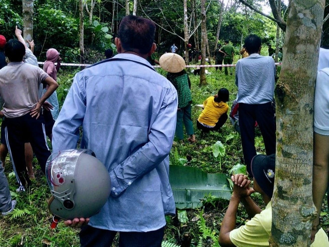 Thừa Thiên-Huế: Bị ngã khi lấy mật ong, một người tử vong thương tâm ảnh 1