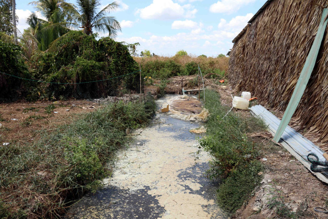 Rò rỉ khí từ hầm biogas làm 9 người bị ngộ độc nặng và tử vong ảnh 2