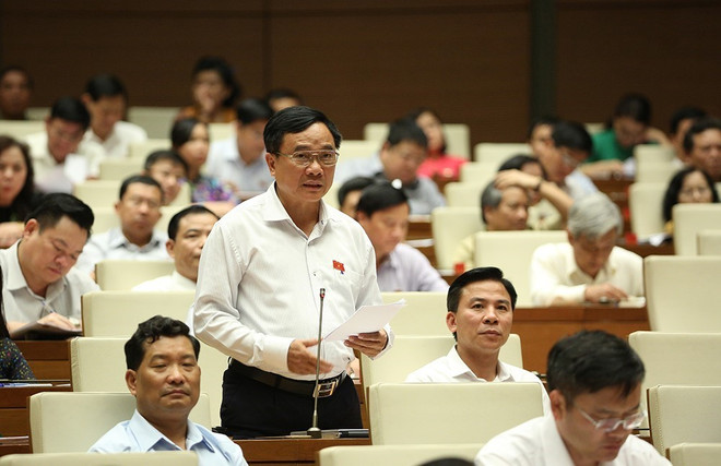 Đại biểu Quốc hội: Không còn lo lắng việc "diệt chuột sợ làm vỡ bình" ảnh 1