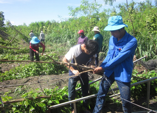 Lốc xoáy khiến nhà cửa, hoa màu của hơn 100 hộ dân bị thiệt hại ảnh 1