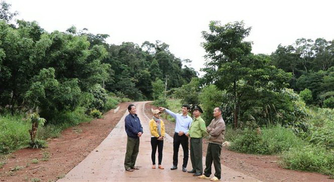 Ban quản lý Khu bảo tồn thiên nhiên Kon Chư Răng (huyện Kbang) tuyên truyền, vận động, hướng dẫn người dân trồng lại các loại cây lâm nghiệp trên diện tích đất lấn chiếm của Ban quản lý. (Ảnh: Hồng Điệp/TTXVN) Gia Lai: Cảm hóa lâm tặc thành người bảo vệ rừng đắc lực ảnh 3